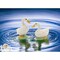 Hand Painted Ceramic Duck Salt And Pepper Shakers Ornament for Kitchen Gift Idea